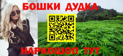 прущие крисы Обь