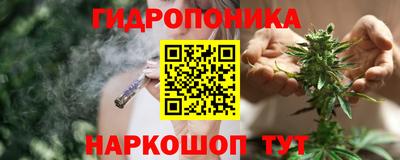 прущие крисы Обь