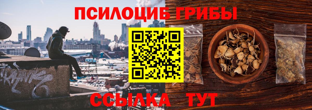 Галлюциногенные грибы Psilocybe Тосно
