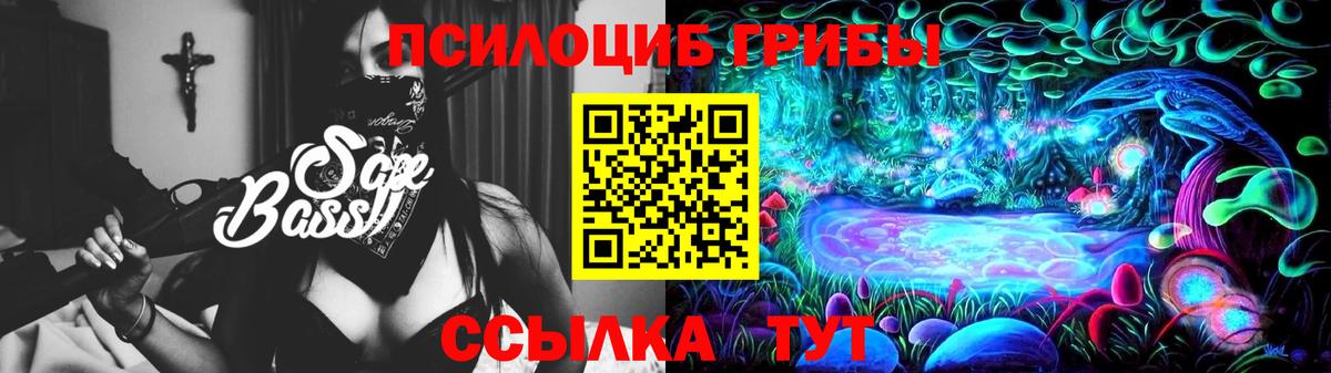 Псилоцибиновые грибы MAGIC MUSHROOMS  Вход с VPN  Тосно 